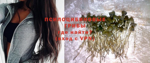 дурь Алзамай