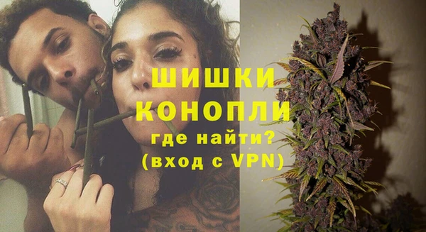 дурь Алзамай