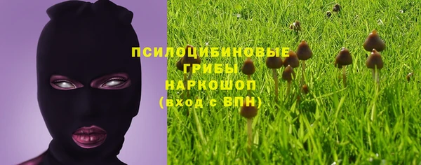 меф Алексин