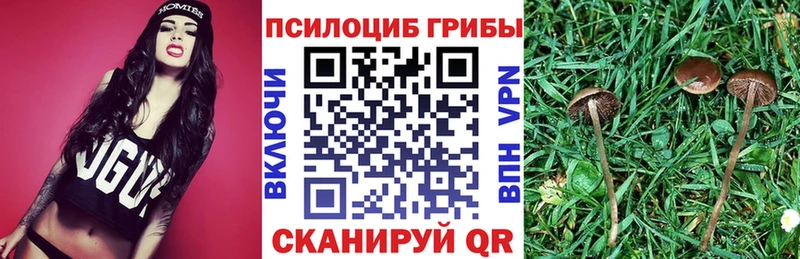 Псилоцибиновые грибы MAGIC MUSHROOMS  Купить  Соль-Илецк 