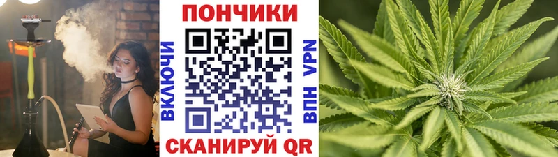 Купить где  Соль-Илецк  Шишки марихуана гибрид 